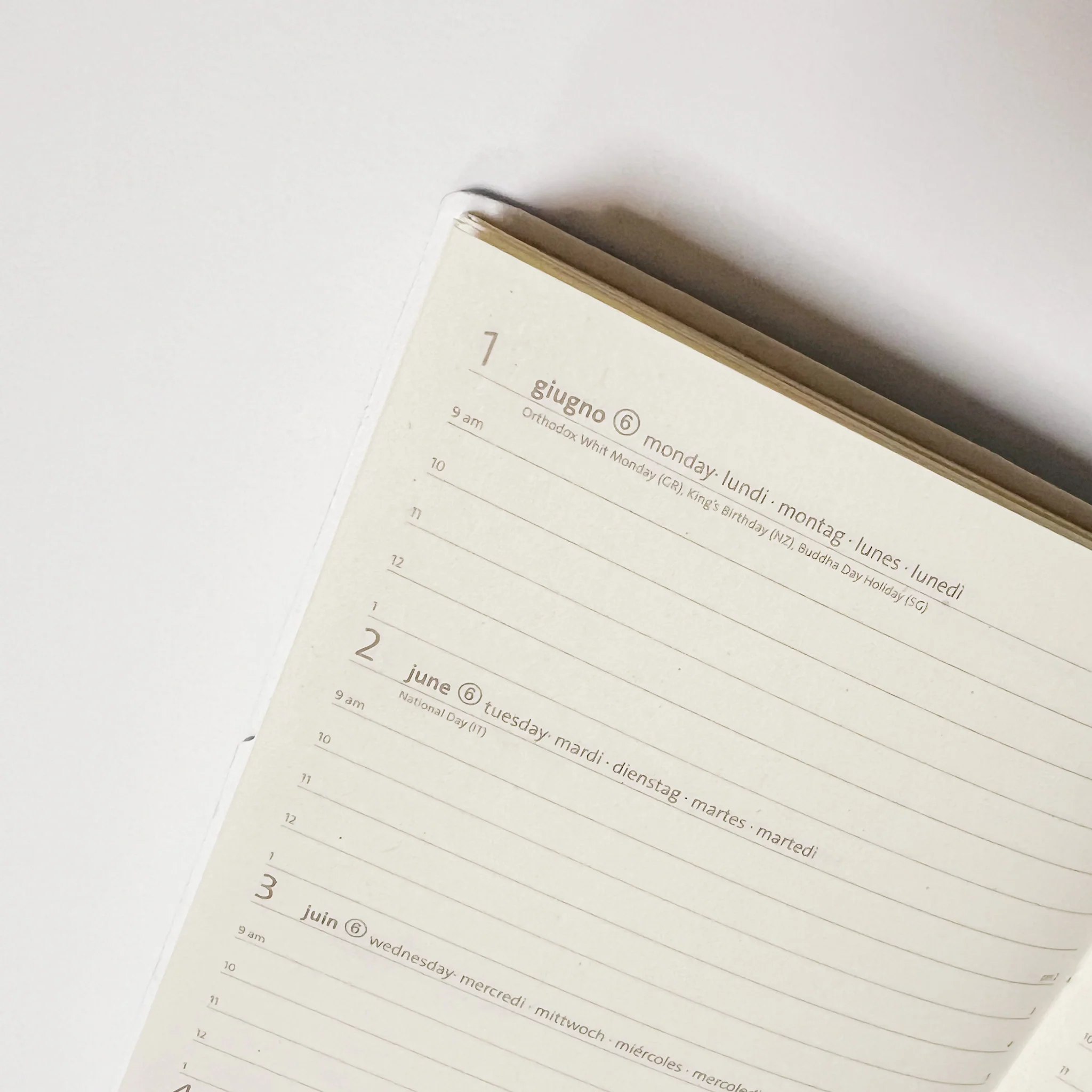 Ciak 2026 Weekly Pocket Diary - Horizontal Layout - Image 6