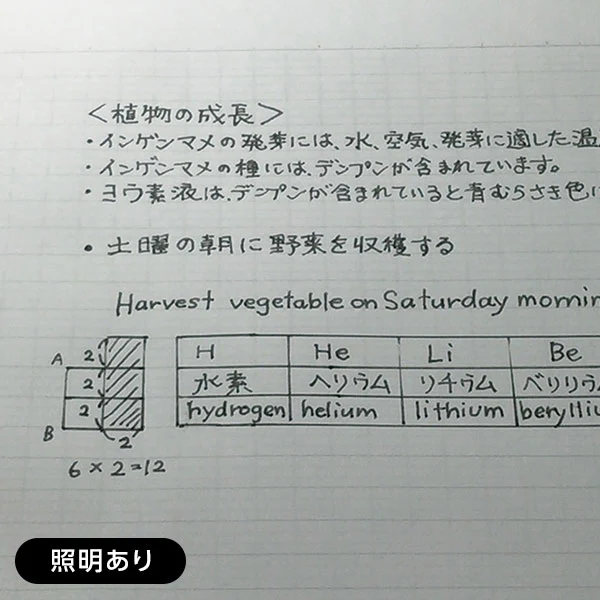 Nakabayashi T Line Prime Paper A4 Notebook Black Lined - Image 7